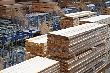 Сенаторы направят в правительство план поддержки лесной отрасли