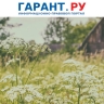 Фиксированный штраф за неудаление с участка борщевика ввели в Подмосковье