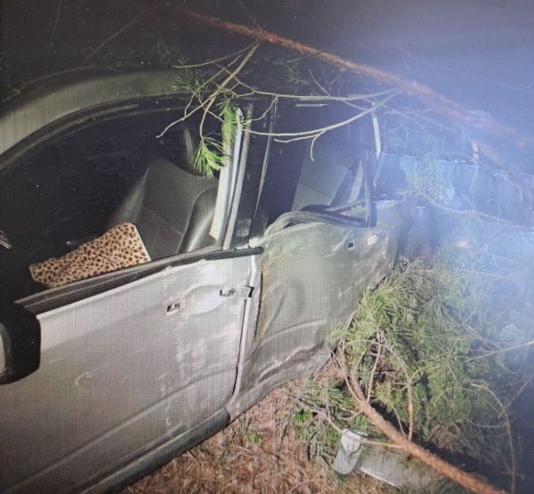 В Забайкалье пьяный водитель слетел с дороги и врезался в дерево