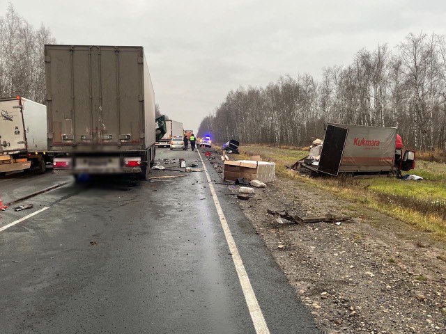 На трассе в Пензенской области водитель вышел из фуры и погиб На трассе в Пензенской области водитель вышел из фуры и погиб