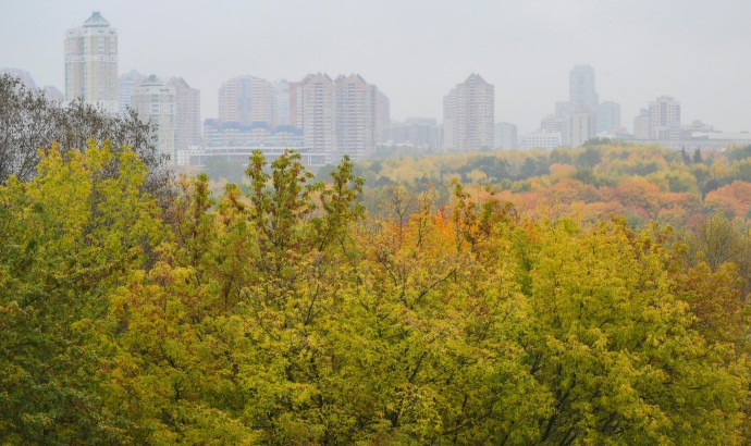 Леус: Период туманов в Москве подошел к концу