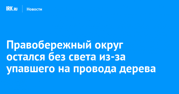 Правобережный округ остался без света из-за упавшего на провода дерева