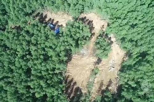 Спасатели закончили расчистку места крушения Ан-24 в Амурской области