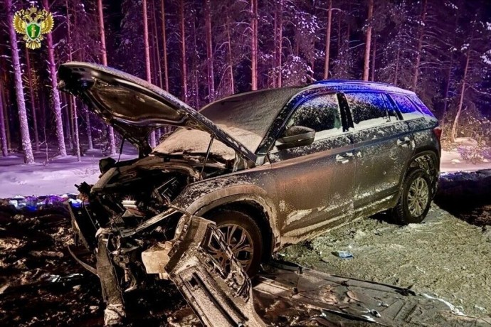 9 человек, пятеро из которых дети, пострадали в серьезном ДТП на трассе в Карелии