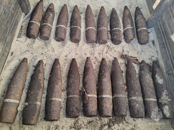 19 взрывоопасных предметов обнаружили в лесу под Белгородом