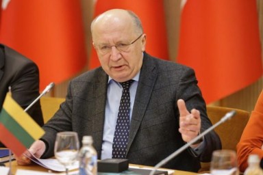 Литва предложила странам ЕС научить их оборонятся, но есть нюанс