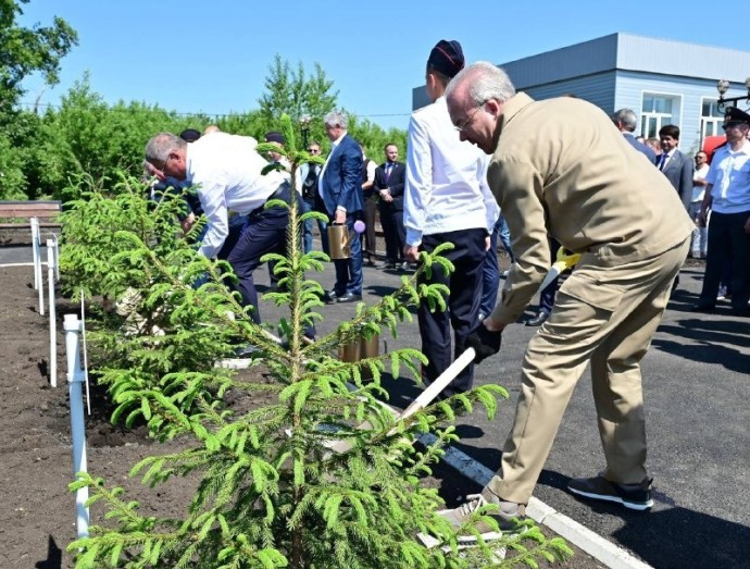 За 6 лет в Башкирии удалось восстановить леса на площади 93 тысячи га За 6 лет в Башкирии удалось восстановить леса на площади 93 тысячи га