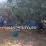 Обгоревшие дачи, люди с вёдрами, пожарные машины. Что происходит на месте вчерашнего пожарища 