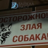 Сельчан в Бурятии одолели бродячие псины