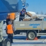 Транспортная прокуратура начала проверку по факту грубого обращения с багажом в аэропорту Охи