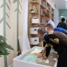 Самую северную модельную библиотеку открыли в Приамурье