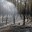 Лесные пожары в Бурятии тушат более 700 человек
