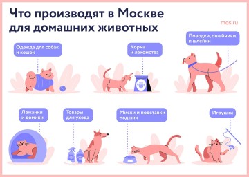 Что производят в Москве для домашних животных