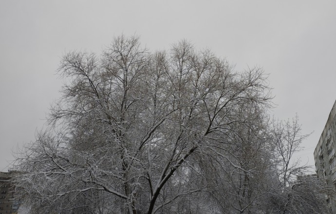 В Ярославской области ожидается метель и сильный ветер