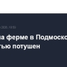Пожар на ферме в Подмосковье полностью потушен
