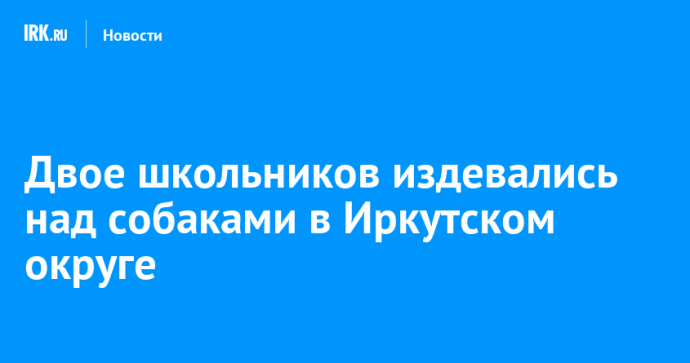 Двое школьников издевались над собаками в Иркутском округе Двое школьников издевались над собаками в Иркутском округе