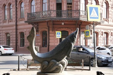 Дождь и сильный ветер придут в Астраханскую область 