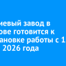 Кремниевый завод в Шелехове готовится к приостановке работы с 1 января 2026 года