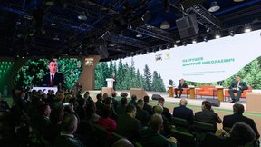 Дмитрий Патрушев: В 2024 году на развитие лесного хозяйства Правительство направило 64 млрд рублей