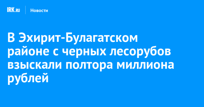 В Эхирит-Булагатском районе с черных лесорубов взыскали полтора миллиона рублей