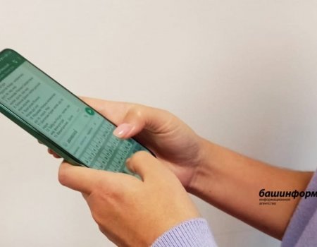 В Башкирии произошел массовый сбой в работе мессенджера WhatsApp* В Башкирии произошел массовый сбой в работе мессенджера WhatsApp*