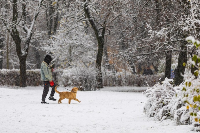 Синоптик Позднякова: Снежный покров сформируется в Москве в среду Синоптик Позднякова: Снежный покров сформируется в Москве в среду