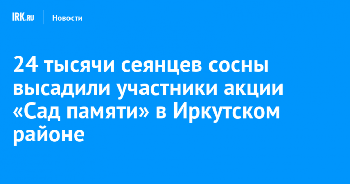24 тысячи сеянцев сосны высадили участники акции «Сад памяти» в Иркутском районе
