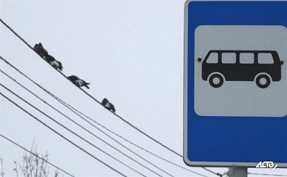 В Красногорске начали выполнять стыковочные рейсы с автобусом, следующим по маршруту № 525