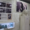 В Якутске открылась выставка к 125-летию Сергея Зверева — Кыыл Уола