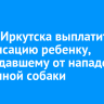 Мэрия Иркутска выплатит компенсацию ребенку, пострадавшему от нападения бездомной собаки