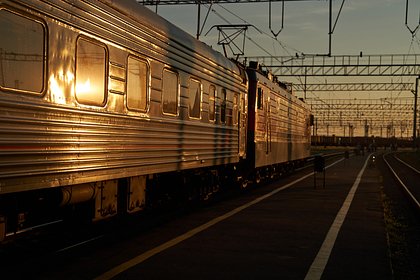 Россиянка описала поездку из Адлера в пассажирском поезде словами «табло завешено тряпкой»