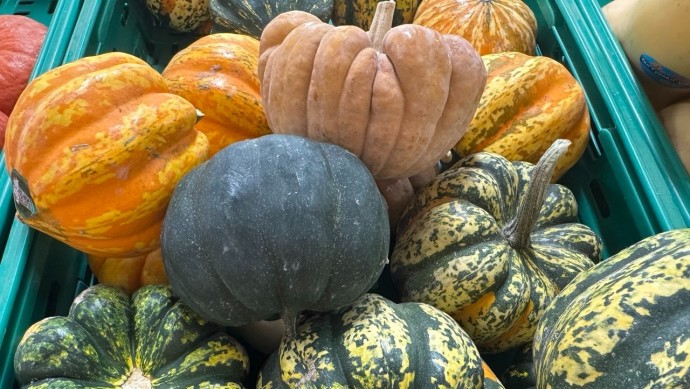 Врач из Уфы перечислила самые полезные овощи для зимнего рациона