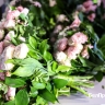 Владимир Путин отметил госнаградами и почётными званиями семерых белгородских медиков