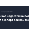 Минсельхоз надеется на получение права на экспорт озимой пшеницы в Китай