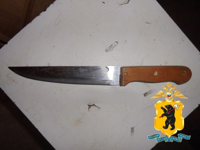 В Ярославской области женщина нанесла мужу смертельную рану ножом