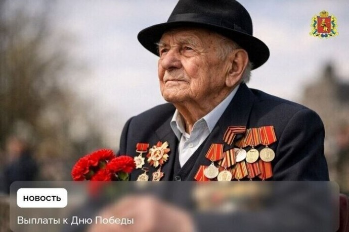 Более 230 ветеранов Владимирской области получили социальную помощь