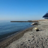 Туристы заметили гигантских медуз на побережье Азовского моря