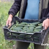 Чтобы получить соцконтракт, белгородским участникам СВО больше не нужно быть малоимущими