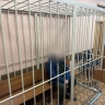 Накануне Крещения у Толги под Ярославлем произошло убийство