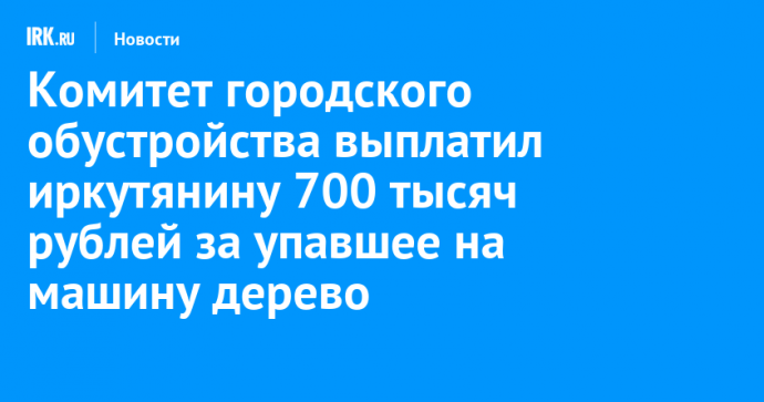 Комитет городского обустройства выплатил иркутянину 700 тысяч рублей за упавшее на машину дерево