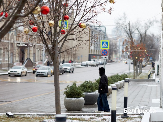 Инфляция в Белгородской области замедляется седьмой месяц подряд и превысила 7 %