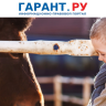 Следить за правилами содержания животных в зоопарке будут с помощью БПЛА