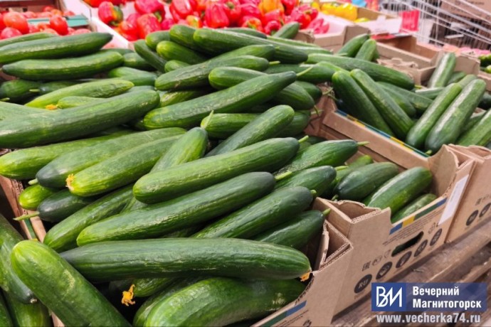 Новое золото? Магнитогорцы шокированы ценами на огурцы