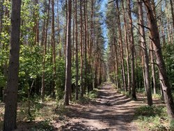 В регионе появился ещё один памятник природы