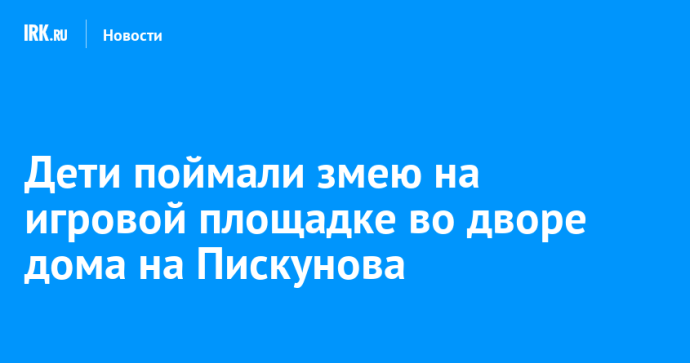 Дети поймали змею на игровой площадке во дворе дома на Пискунова