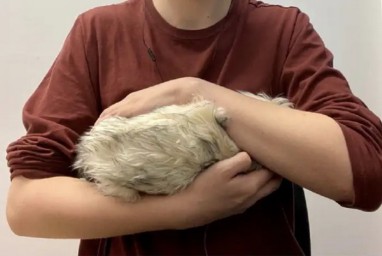 Объятия страха