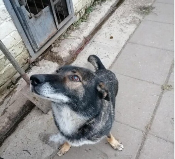 Жоанна и Плюмбум ищут новый дом