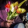 8 марта в Бурятии по-весеннему тепло