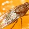 Давай, до свидания - 2! или Мария Арбатова выступила в защиту Лены Лениной