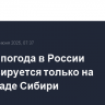 Жаркая погода в России прогнозируется только на юго-западе Сибири